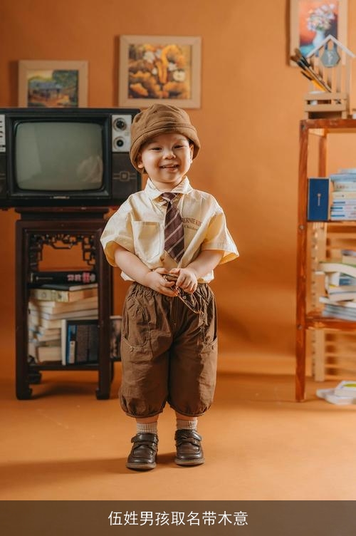 伍姓男孩取名带木意 伍姓男孩取名带木意