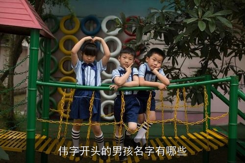 伟字开头的男孩名字有哪些 伟字开头的男孩名字有哪些
