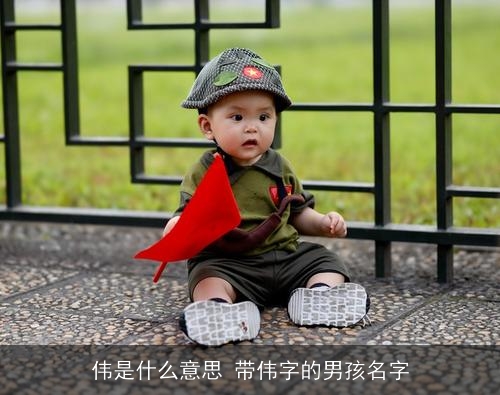伟是什么意思 带伟字的男孩名字 伟是什么意思 带伟字的男孩名字