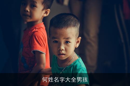 何姓名字大全男孩 何姓名字大全男孩