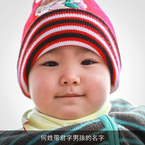 何姓带君字男孩的名字 何姓带君字男孩的名字