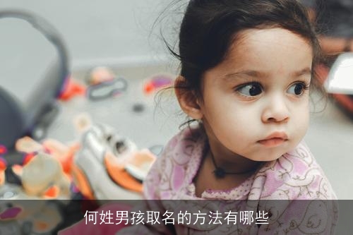 何姓男孩取名的方法有哪些 何姓男孩取名的方法有哪些