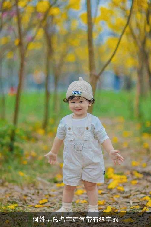 何姓男孩名字霸气带有狼字的 何姓男孩名字霸气带有狼字的