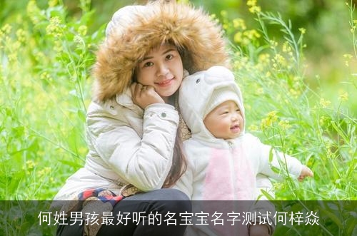 何姓男孩最好听的名宝宝名字测试何梓焱 何姓男孩最好听的名宝宝名字测试何梓焱