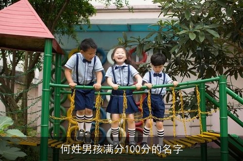 何姓男孩满分100分的名字 何姓男孩满分100分的名字