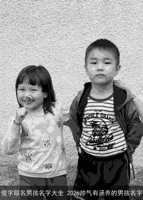 俊字取名男孩名字大全 2026帅气有涵养的男孩名字 俊字取名男孩名字大全 2026帅气有涵养的男孩名字