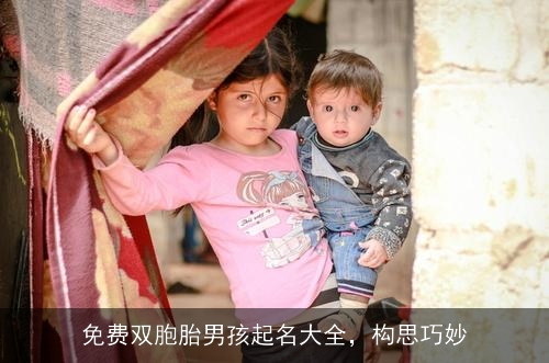 免费双胞胎男孩起名大全,构思巧妙 免费双胞胎男孩起名大全,构思巧妙