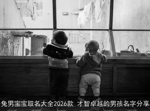 兔男宝宝取名大全2026款 才智卓越的男孩名字分享 兔男宝宝取名大全2026款 才智卓越的男孩名字分享