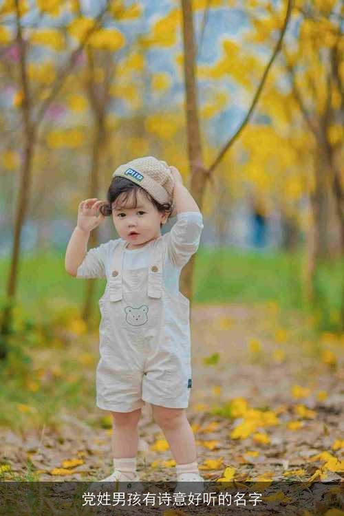 党姓男孩有诗意好听的名字 党姓男孩有诗意好听的名字
