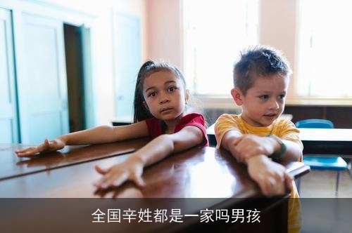 全国辛姓都是一家吗男孩 全国辛姓都是一家吗男孩