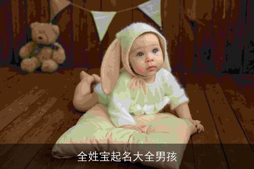 全姓宝起名大全男孩 全姓宝起名大全男孩