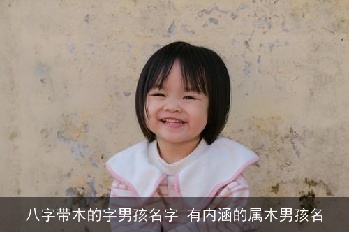 八字带木的字男孩名字 有内涵的属木男孩名 八字带木的字男孩名字 有内涵的属木男孩名