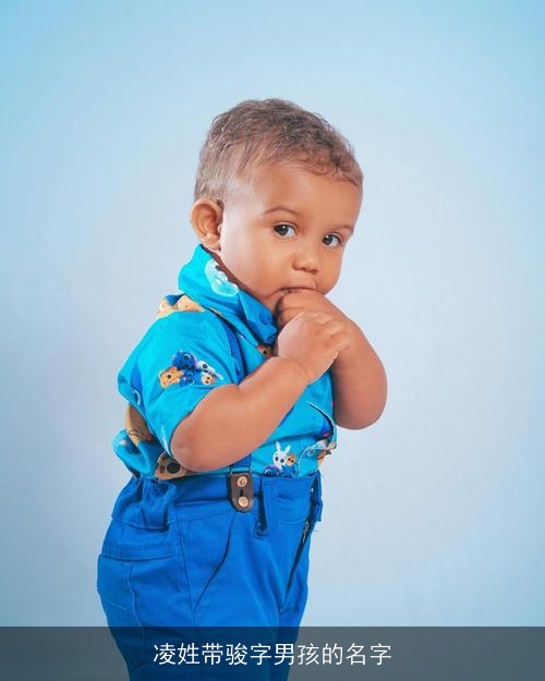 凌姓带骏字男孩的名字 凌姓带骏字男孩的名字
