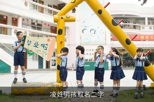 凌姓男孩取名二字 凌姓男孩取名二字