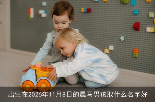 出生在2026年11月8日的属马男孩取什么名字好 出生在2026年11月8日的属马男孩取什么名字好
