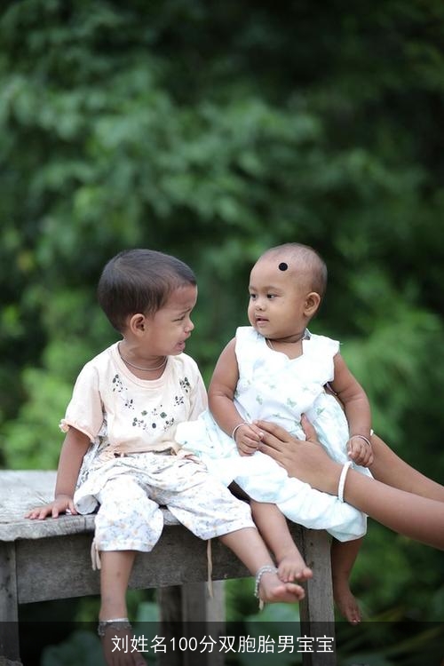 刘姓名100分双胞胎男宝宝 刘姓名100分双胞胎男宝宝
