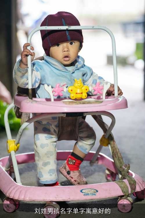 刘姓男孩名字单字寓意好的 刘姓男孩名字单字寓意好的
