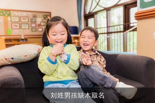 刘姓男孩缺木取名 刘姓男孩缺木取名