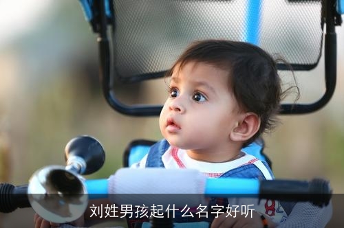 刘姓男孩起什么名字好听 刘姓男孩起什么名字好听