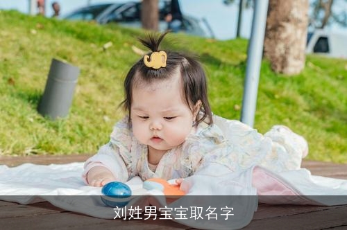 刘姓男宝宝取名字 刘姓男宝宝取名字