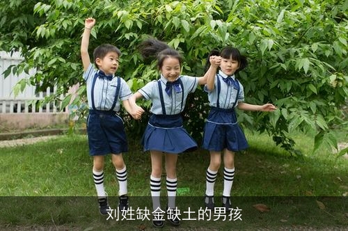 刘姓缺金缺土的男孩 刘姓缺金缺土的男孩