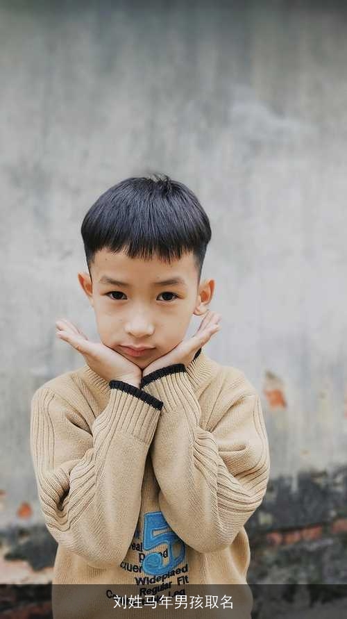 刘姓马年男孩取名 刘姓马年男孩取名