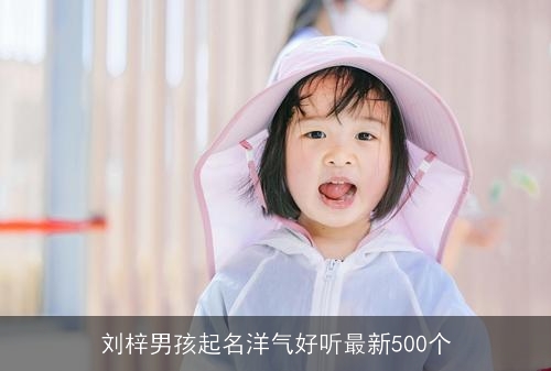 刘梓男孩起名洋气好听最新500个 刘梓男孩起名洋气好听最新500个