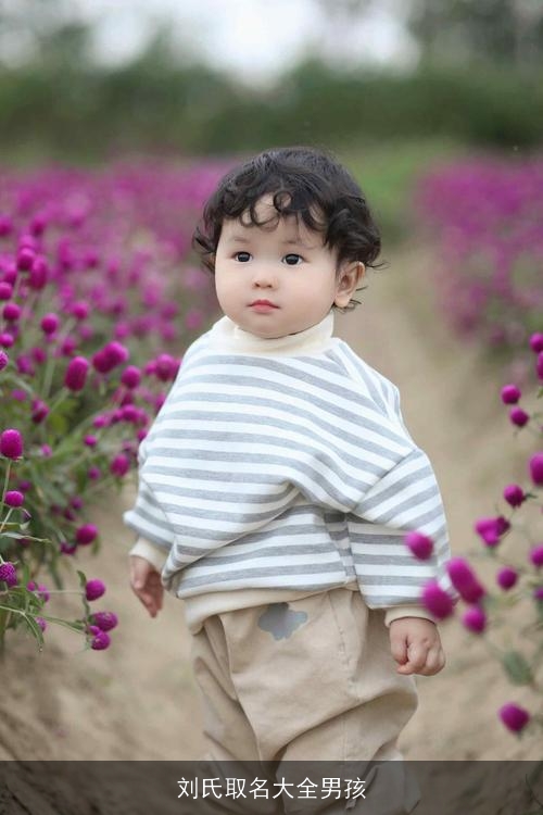 刘氏取名大全男孩 刘氏取名大全男孩
