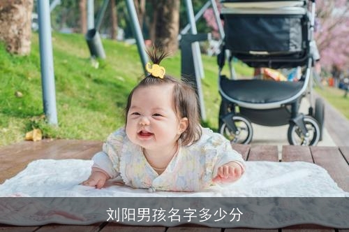 刘阳男孩名字多少分 刘阳男孩名字多少分