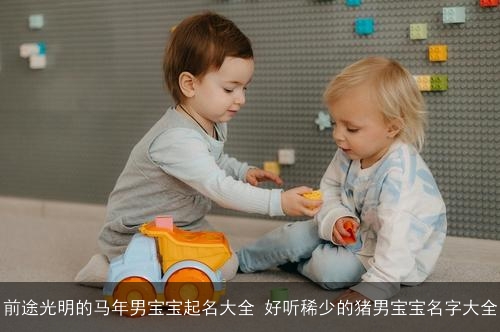 前途光明的马年男宝宝起名大全 好听稀少的猪男宝宝名字大全 前途光明的马年男宝宝起名大全 好听稀少的猪男宝宝名字大全