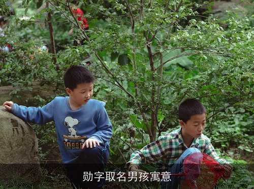 勋字取名男孩寓意 勋字取名男孩寓意