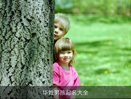 华姓男孩起名大全 华姓男孩起名大全