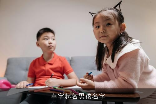 卓字起名男孩名字 卓字起名男孩名字