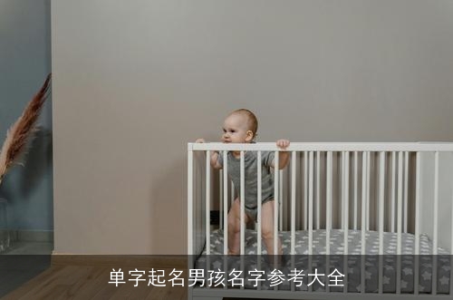 单字起名男孩名字参考大全 单字起名男孩名字参考大全