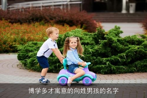 博学多才寓意的向姓男孩的名字 博学多才寓意的向姓男孩的名字