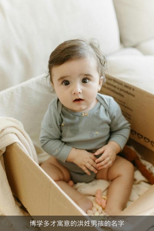 博学多才寓意的洪姓男孩的名字 博学多才寓意的洪姓男孩的名字