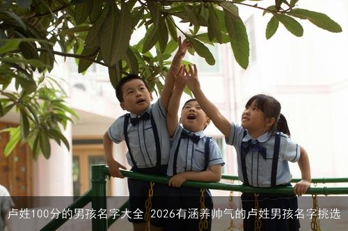 卢姓100分的男孩名字大全 2026有涵养帅气的卢姓男孩名字挑选 卢姓100分的男孩名字大全 2026有涵养帅气的卢姓男孩名字挑选