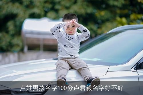 卢姓男孩名字100分卢君毅名字好不好 卢姓男孩名字100分卢君毅名字好不好