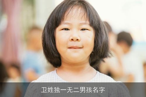 卫姓独一无二男孩名字 卫姓独一无二男孩名字