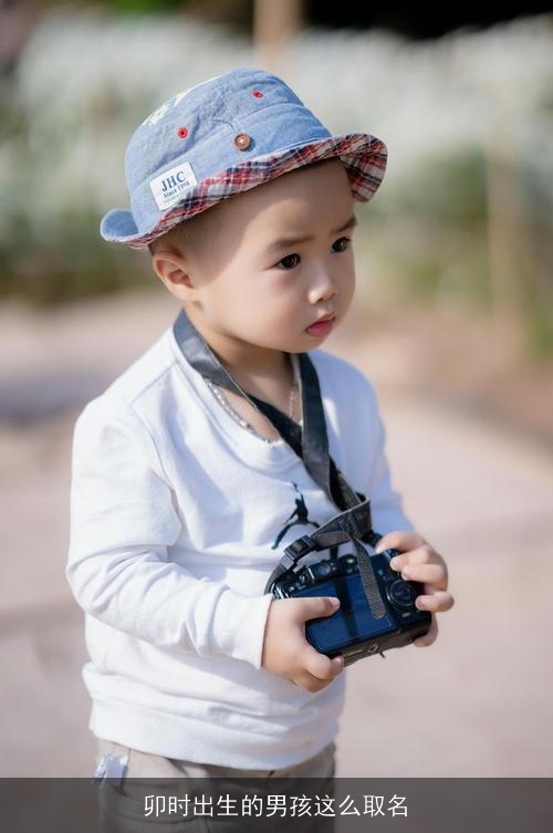 卯时出生的男孩这么取名 卯时出生的男孩这么取名