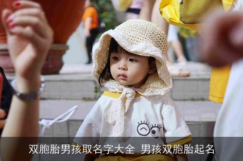 双胞胎男孩取名字大全 男孩双胞胎起名 双胞胎男孩取名字大全 男孩双胞胎起名