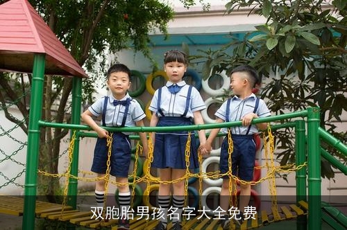 双胞胎男孩名字大全免费 双胞胎男孩名字大全免费