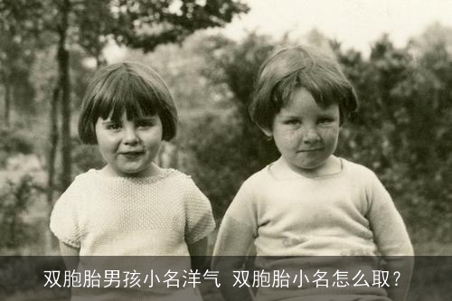 双胞胎男孩小名洋气 双胞胎小名怎么取? 双胞胎男孩小名洋气 双胞胎小名怎么取?