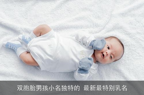 双胞胎男孩小名独特的 最新最特别乳名 双胞胎男孩小名独特的 最新最特别乳名