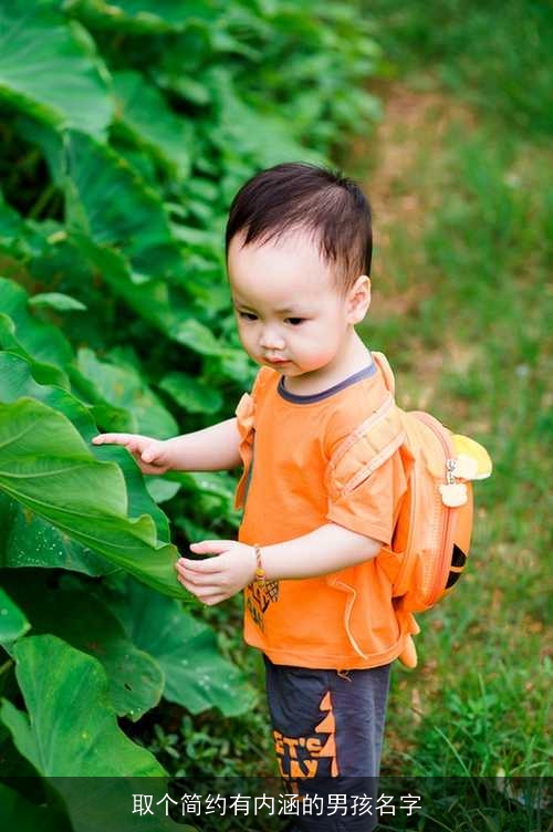 取个简约有内涵的男孩名字 取个简约有内涵的男孩名字