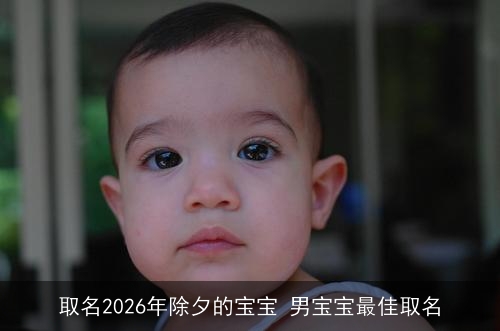 取名2026年除夕的宝宝 男宝宝最佳取名 取名2026年除夕的宝宝 男宝宝最佳取名
