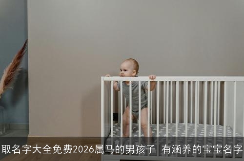 取名字大全免费2026属马的男孩子 有涵养的宝宝名字 取名字大全免费2026属马的男孩子 有涵养的宝宝名字