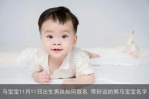 马宝宝11月11日出生男孩如何取名 带好运的男马宝宝名字 马宝宝11月11日出生男孩如何取名 带好运的男马宝宝名字