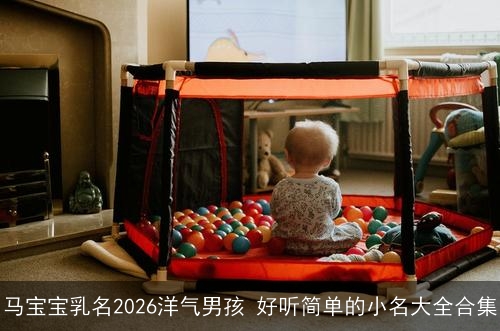 马宝宝乳名2026洋气男孩 好听简单的小名大全合集 马宝宝乳名2026洋气男孩 好听简单的小名大全合集