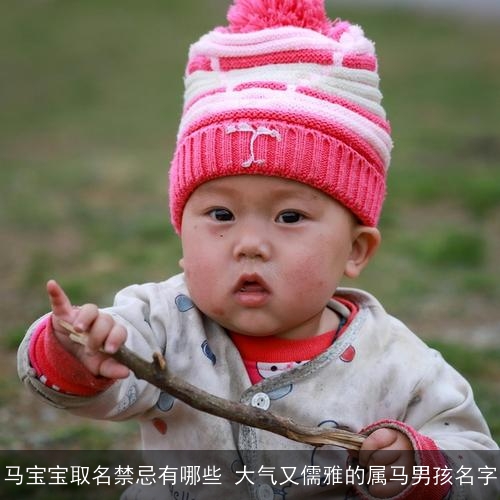 马宝宝取名禁忌有哪些 大气又儒雅的属马男孩名字 马宝宝取名禁忌有哪些 大气又儒雅的属马男孩名字